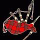 Символ шотландии - чертополох, волынка и тартан Чертополох значение