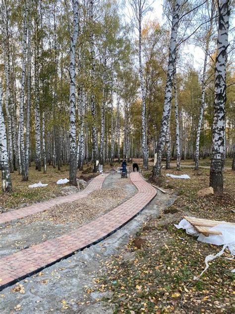 Как преобразится парк Судостроителей в Ярославле: инвестиции в развитие пространства на 29 миллионов рублей