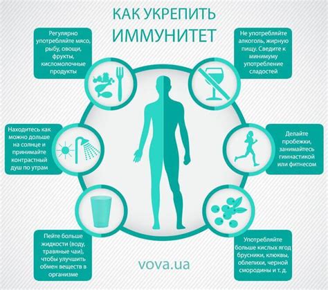 Как укрепить иммунитет зимой: проверенные советы