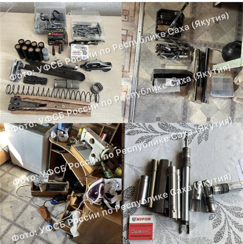 Незаконное изготовление патронов во Владивостоке: охотник против дикой природы на скамье подсудимых