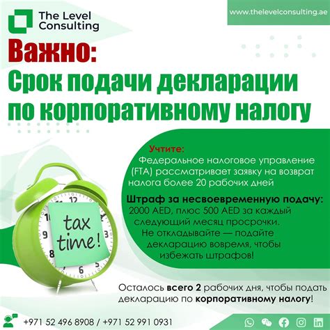 Окончательный срок подачи отчета: как избежать наказаний, сдав документы вовремя