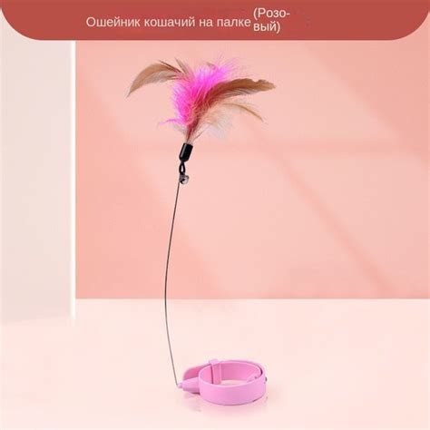 Почему колокольчик на ошейнике так важен для безопасности вашей кошки