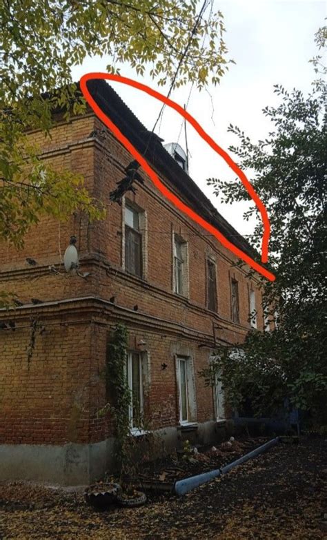 Спасите «капитанский» дом: жильцы жалуются на крысу и протечки на проспекте Ленина