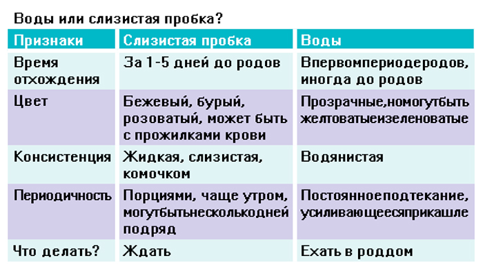 фото пробки родовой онлайн фото пробки родовой